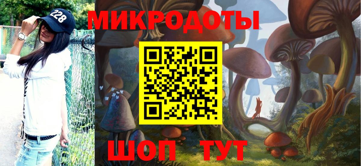 Кудымкар  Псилоцибиновые грибы ЛСД  Вход с VPN 
